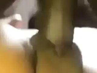 Cum In Pussy