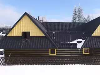 Riesenschwanze im Schnee - Episode 3