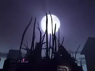 Dezmall - Halloween