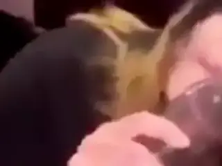 THAT THUNDER THROAT