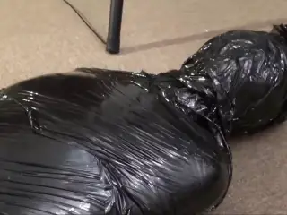 Emerging From the Cocoon