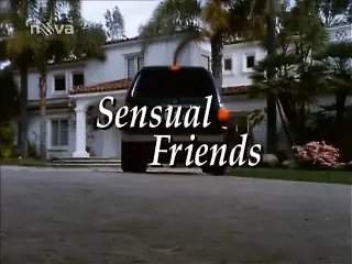 Skinemax movie - ''Sensual Friends''