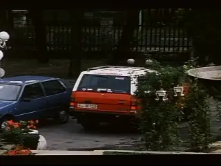 Hard car sex