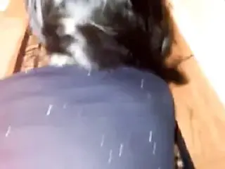 Anal POV 001