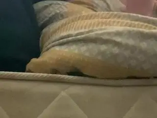 Fast fucking Irish gf