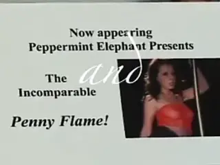 California Wildcats - Redemption