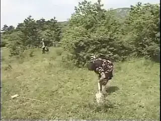 Granny Goes Totally Crazy For Cock - Vol 21 - Episode 6
