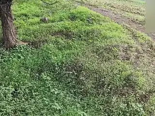 Desi ladaki ne outdoor jakar apane yaar ke sath kiya sex