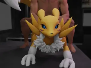 Furry porn with Renamon doing sex