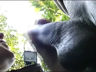 My legacy! (Movie)