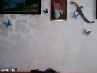 Kisa