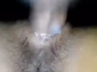 Hairy pussy in the boost Sampek satisfied and cum inside