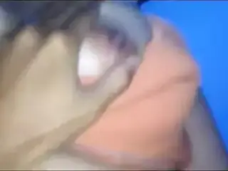 Janda Slut 1