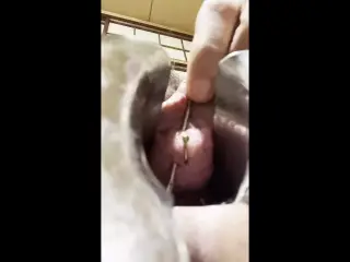 Urethral piercing