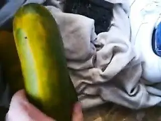 Geile Arschfotzen