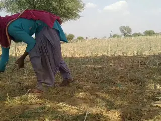 Bahar khet me kam rahi Ghar le ja ke salwar khol ke choda