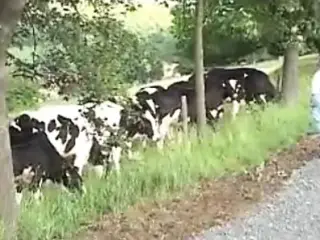 Farm Girl Part 2