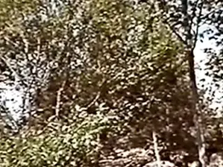 greek porn emeis oi vlaxoi opos laxi(1985)