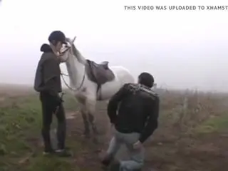 TheHorseRider reimagined