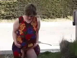 Saraloverke as a slave