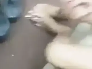 indian boobs