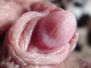 Extreme Closeup Pulsating Huge Clitoris FULL VIDEO